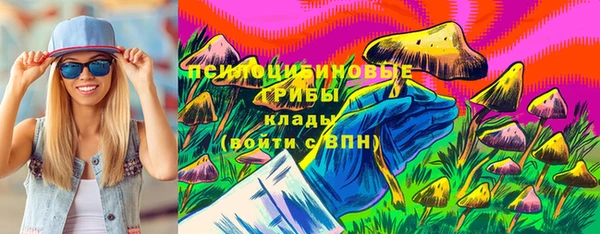 спиды Надым
