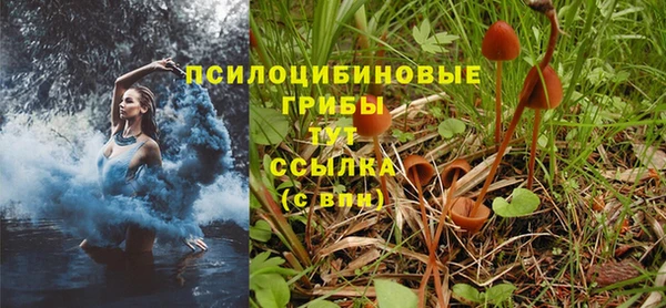 спиды Надым