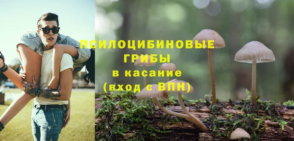 спиды Надым