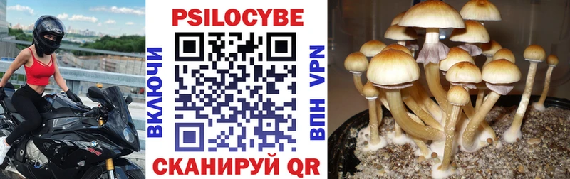 Галлюциногенные грибы мицелий  Приволжск 